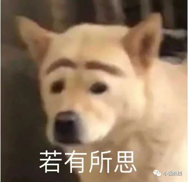 DƬ